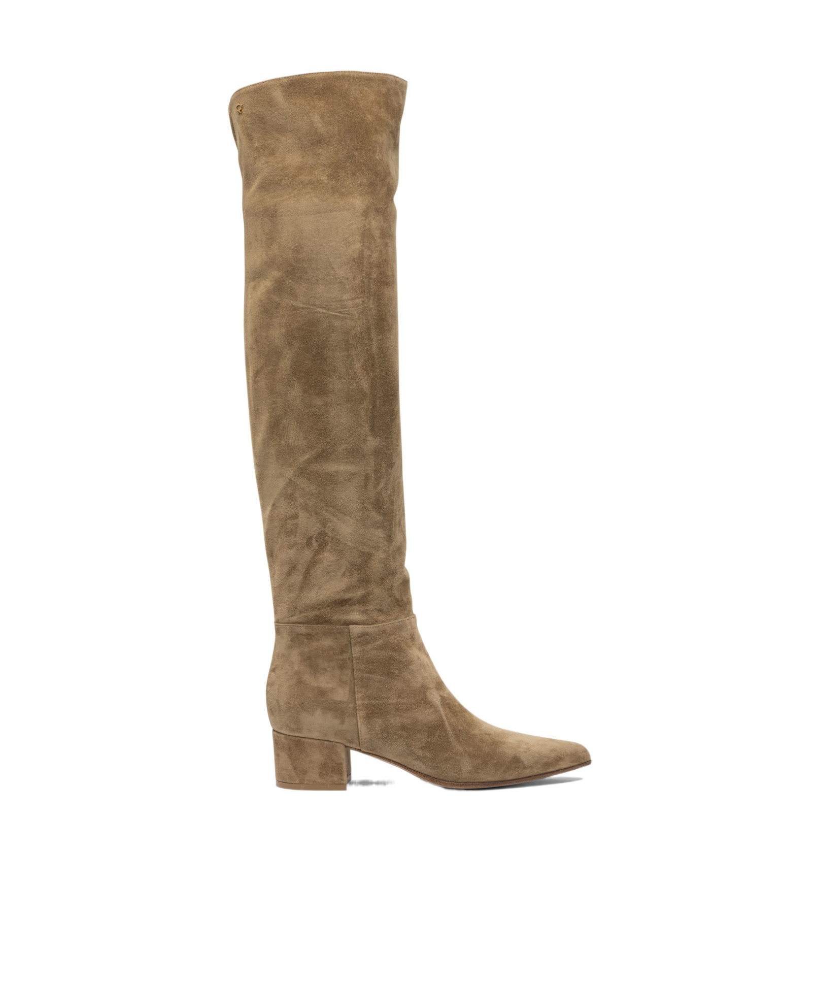 Gianvito Rossi Pointed Toe Boots