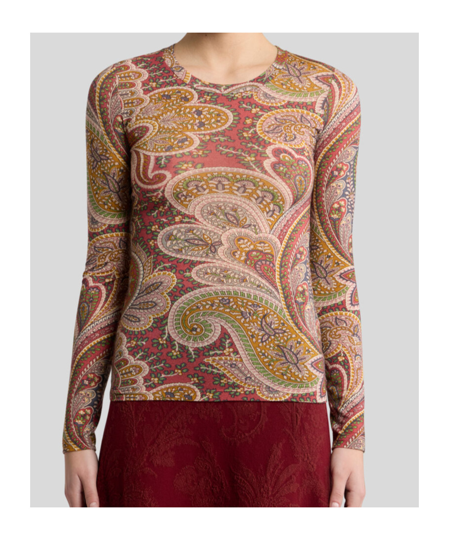 Etro Crew Neck Long-sleeved Top In Brown