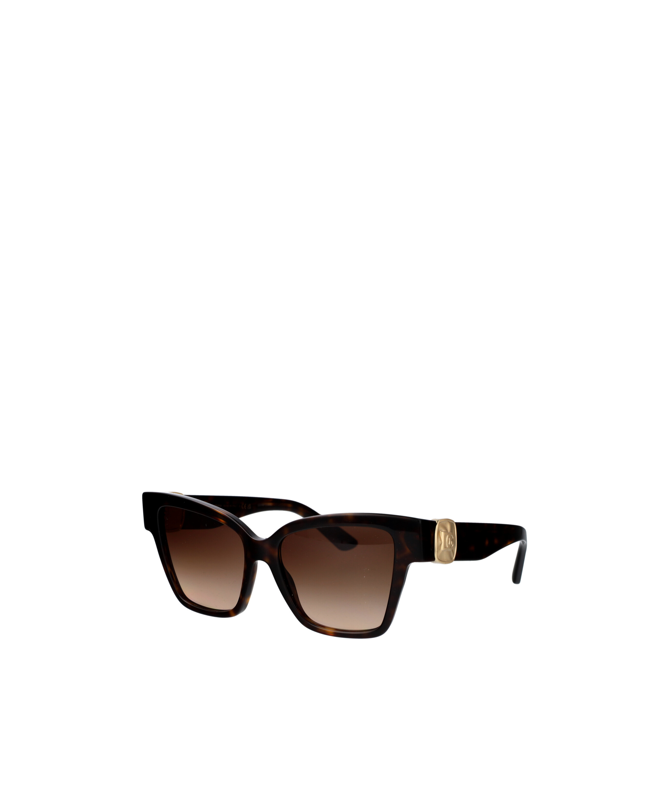 Dolce & Gabbana Full Frame Sunglasses In Havana
