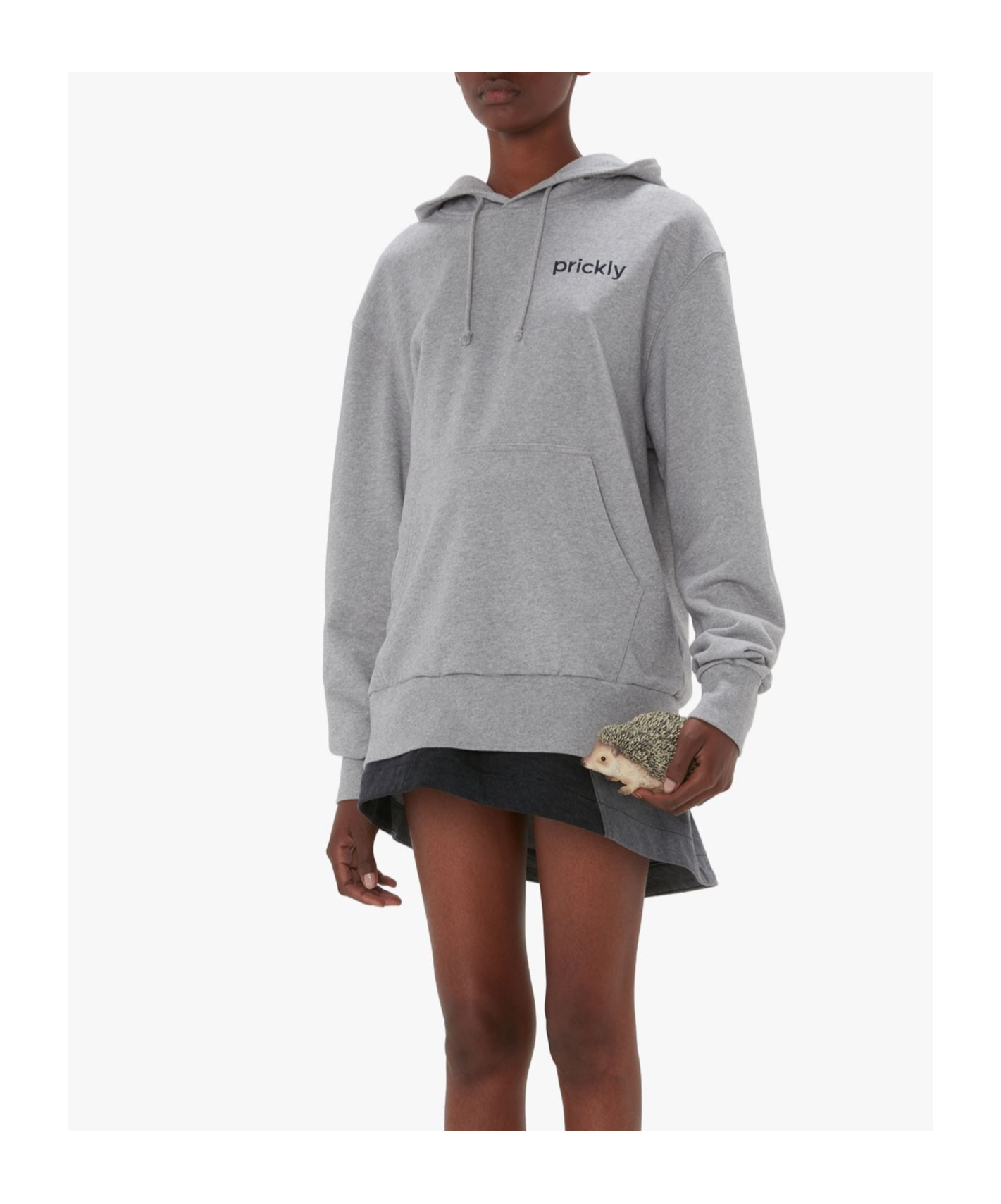 Jw Anderson Prickly Slogan-print Hoodie In Gray