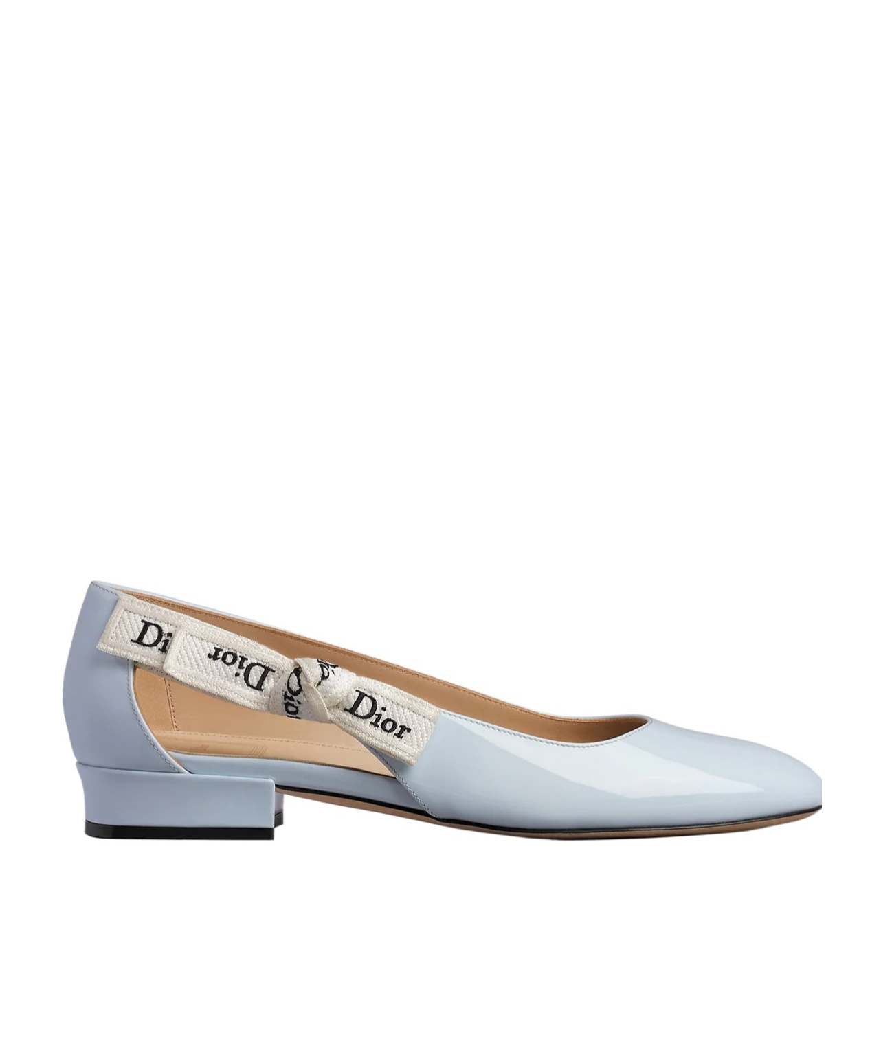 Dior J'a Ballet Flat In Multi