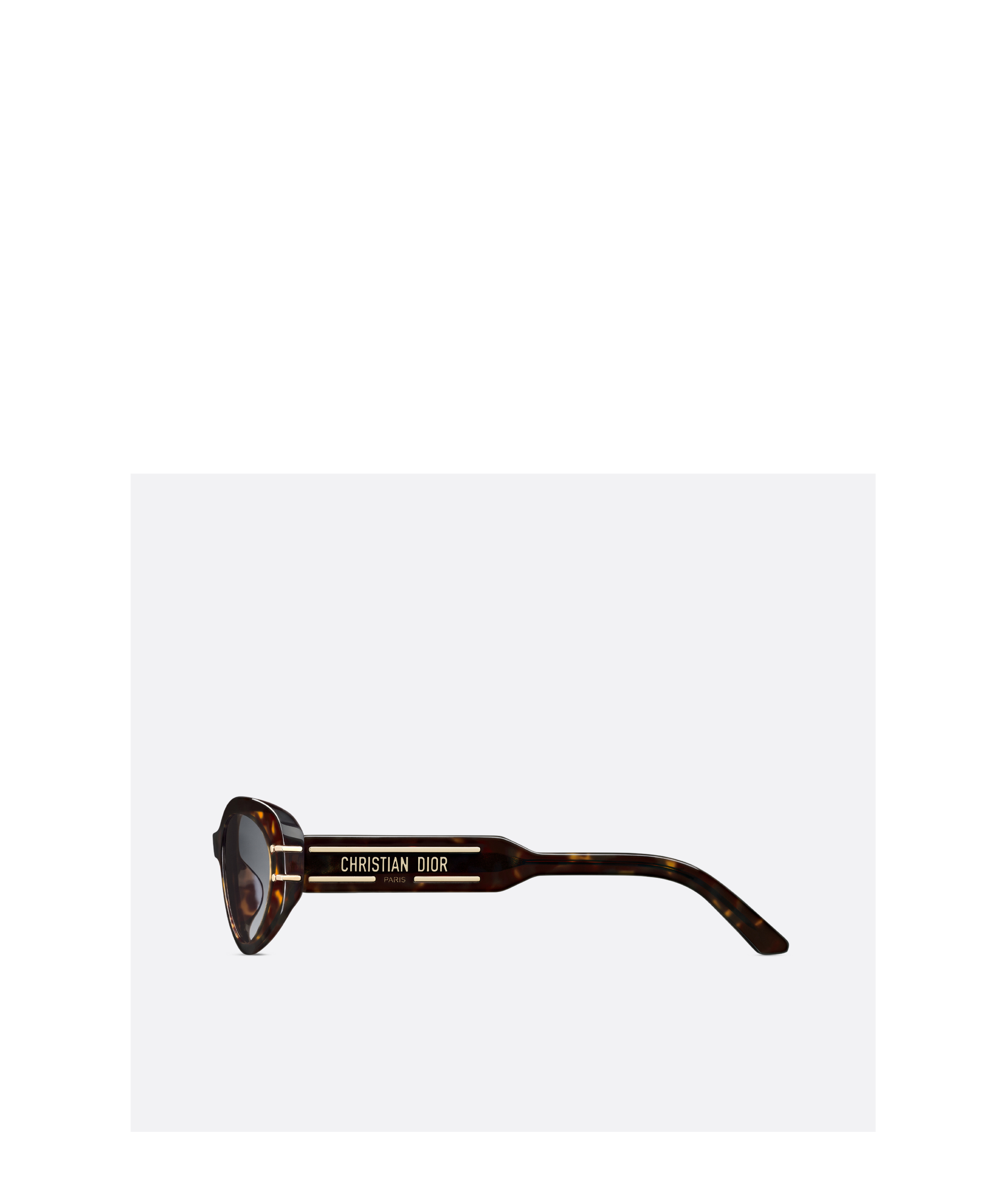 Dior Signature B8u Sunglasses In Gray