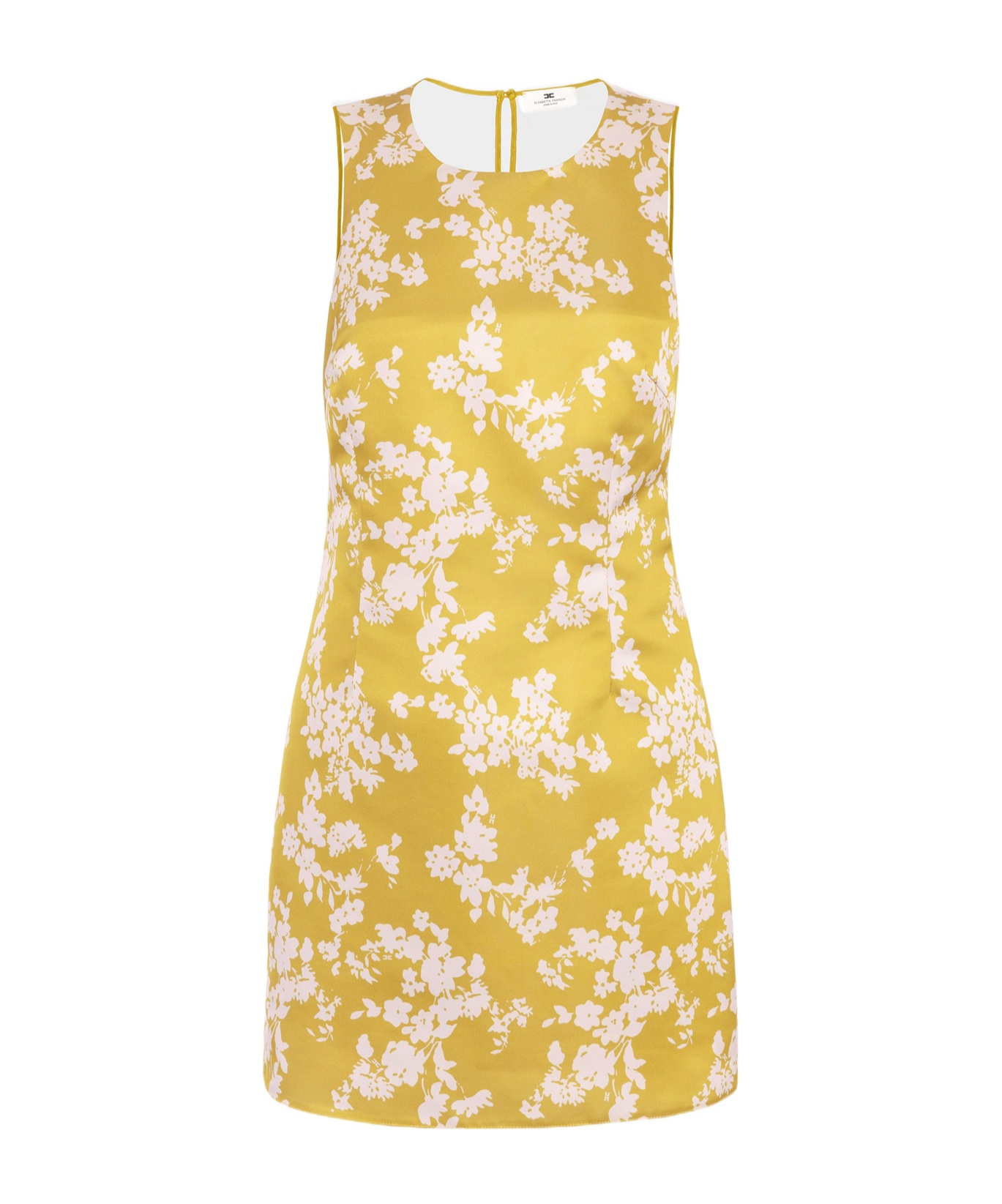 Elisabetta Franchi Dress In Yellow