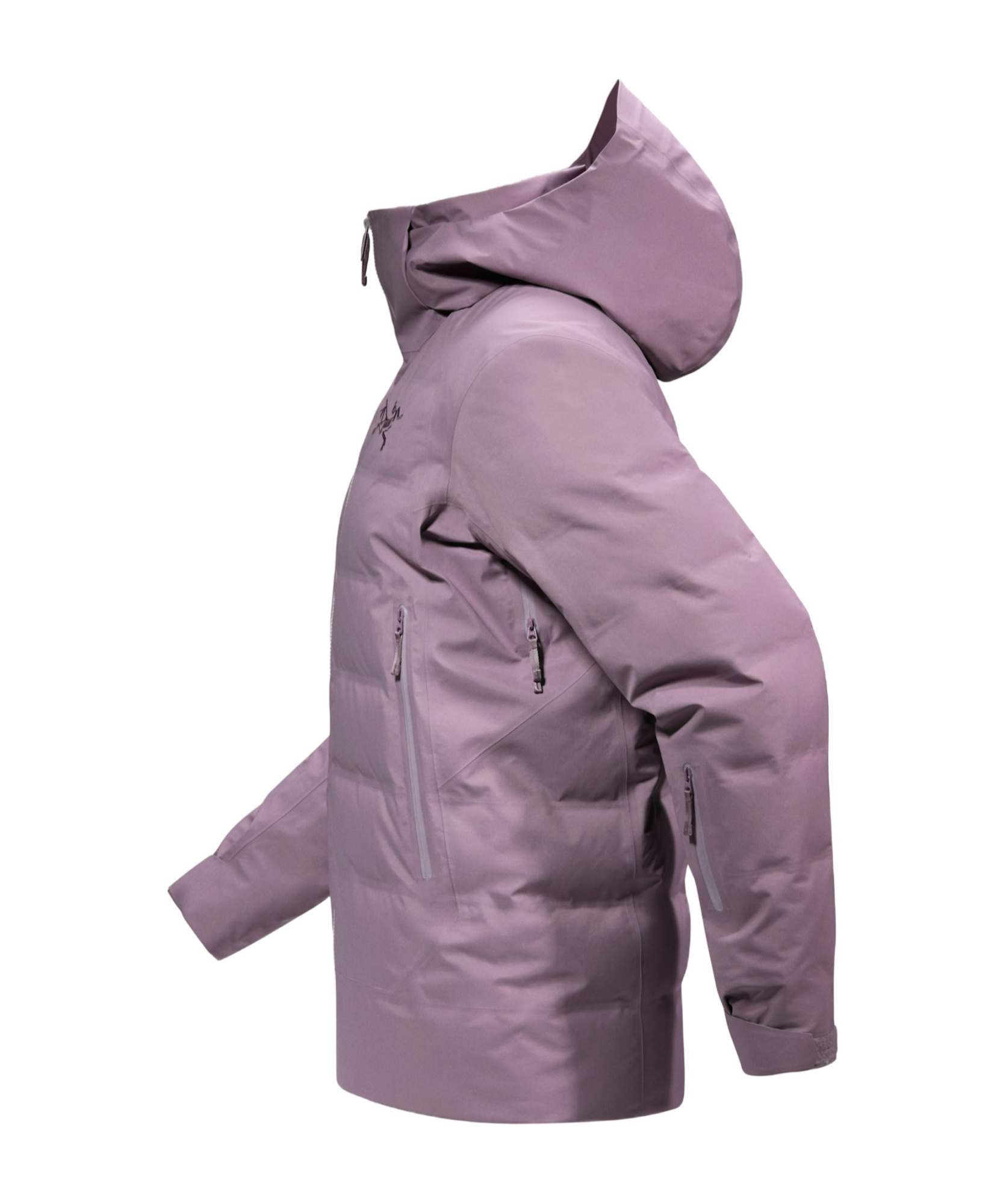 Arc'teryx Fisail Gore-tex Down Jacket In Interstellar