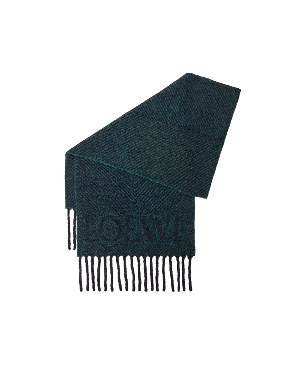 Loewe Alpaca-blend Logo Scarf In Green