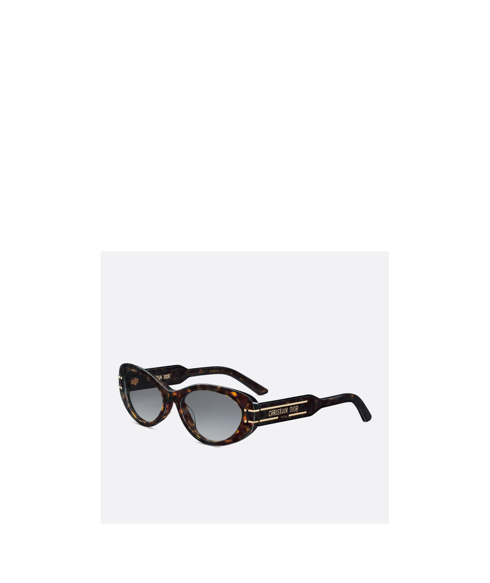 Dior Signature B8u Sunglasses In Gray