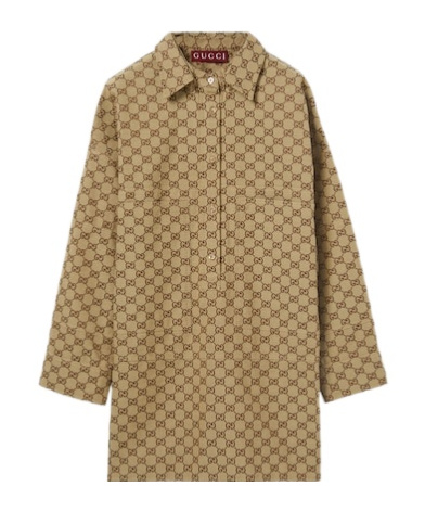 Gucci Long-sleeved Shirt In Brown