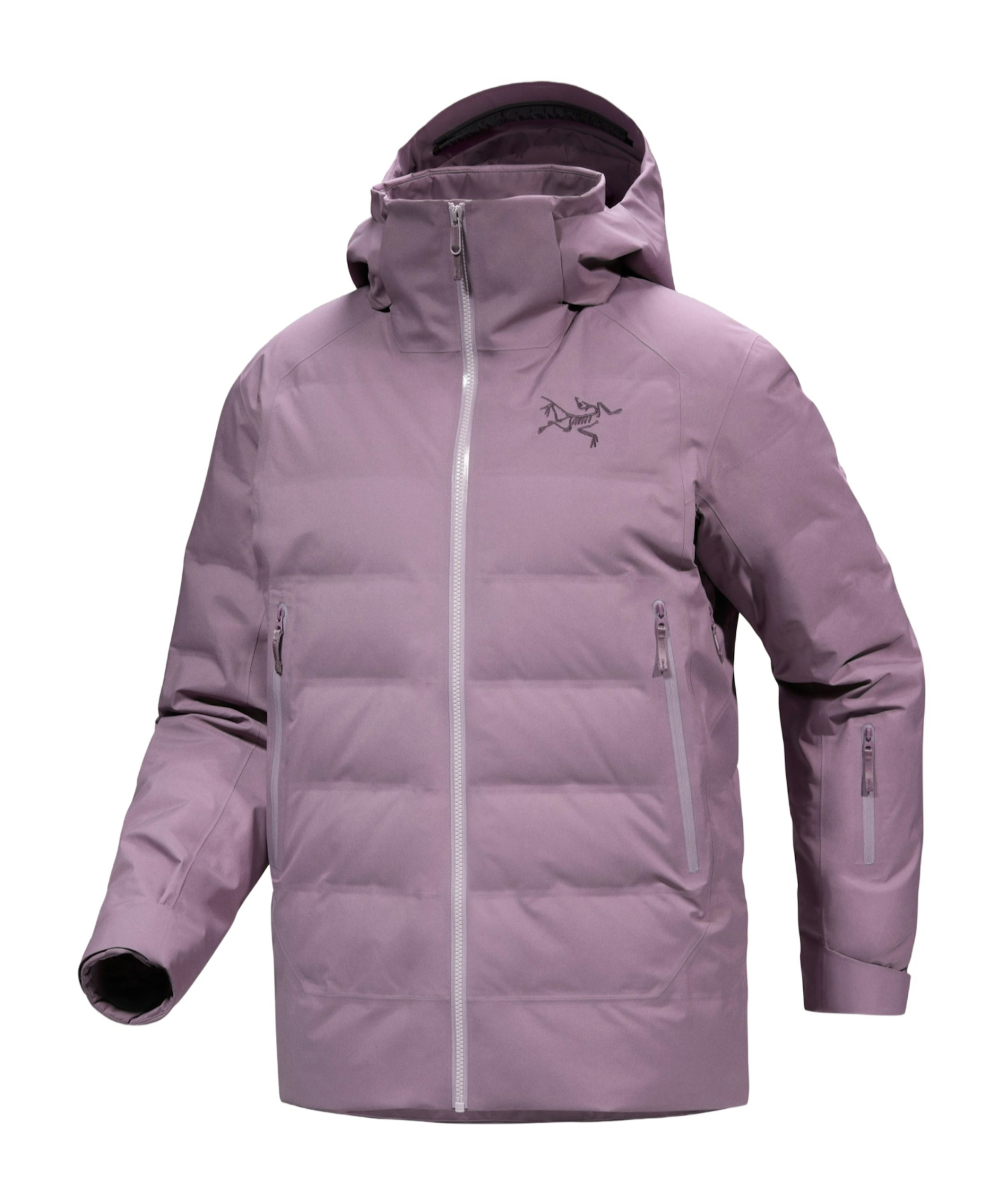 Arc'teryx Fisail Gore-tex Down Jacket In Interstellar