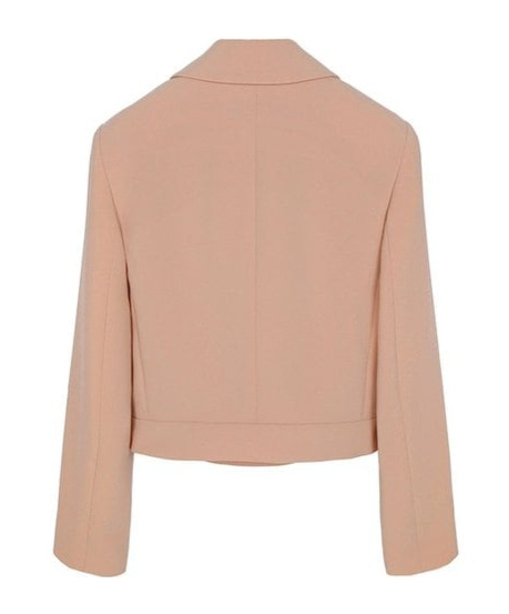 Max Mara Long-sleeved Suit Coat In Nude