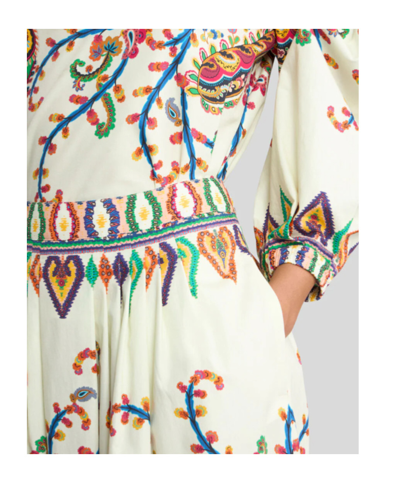 Etro Floral Paisley-print Pleated Midi Skirt In Brown