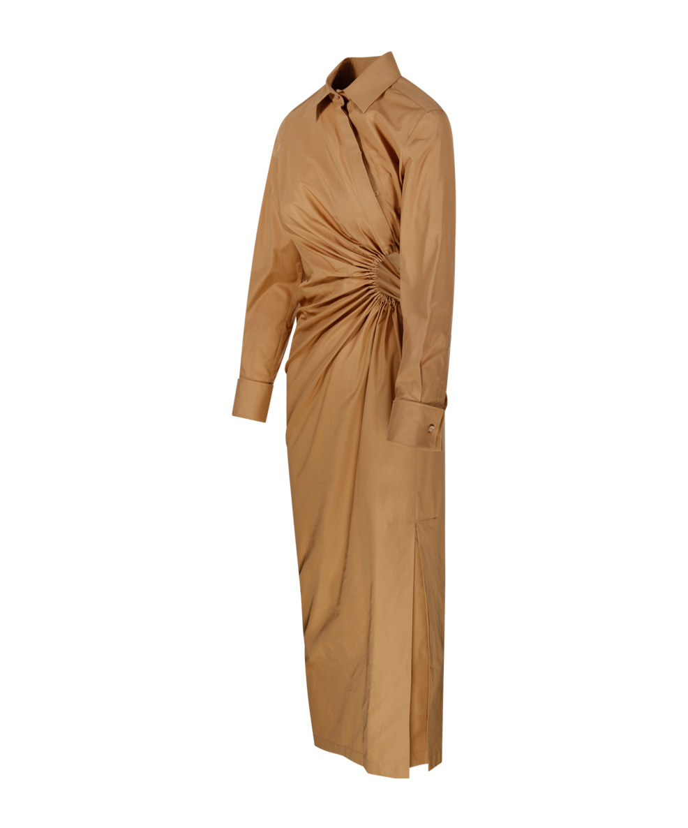 Max Mara Collared Long-sleeve Shirt Dress In Brown