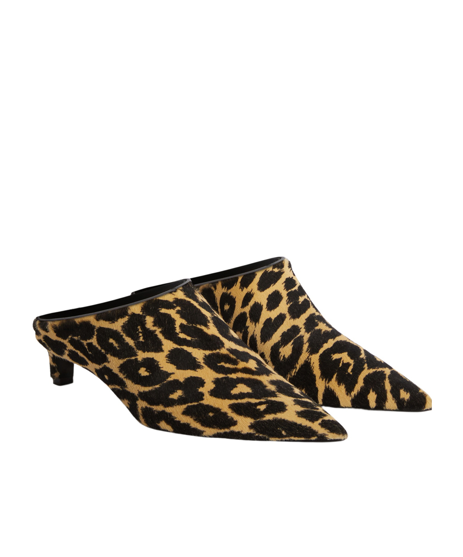 Jil Sander Pointy Leopard-print Calf Hair Mules In Multi