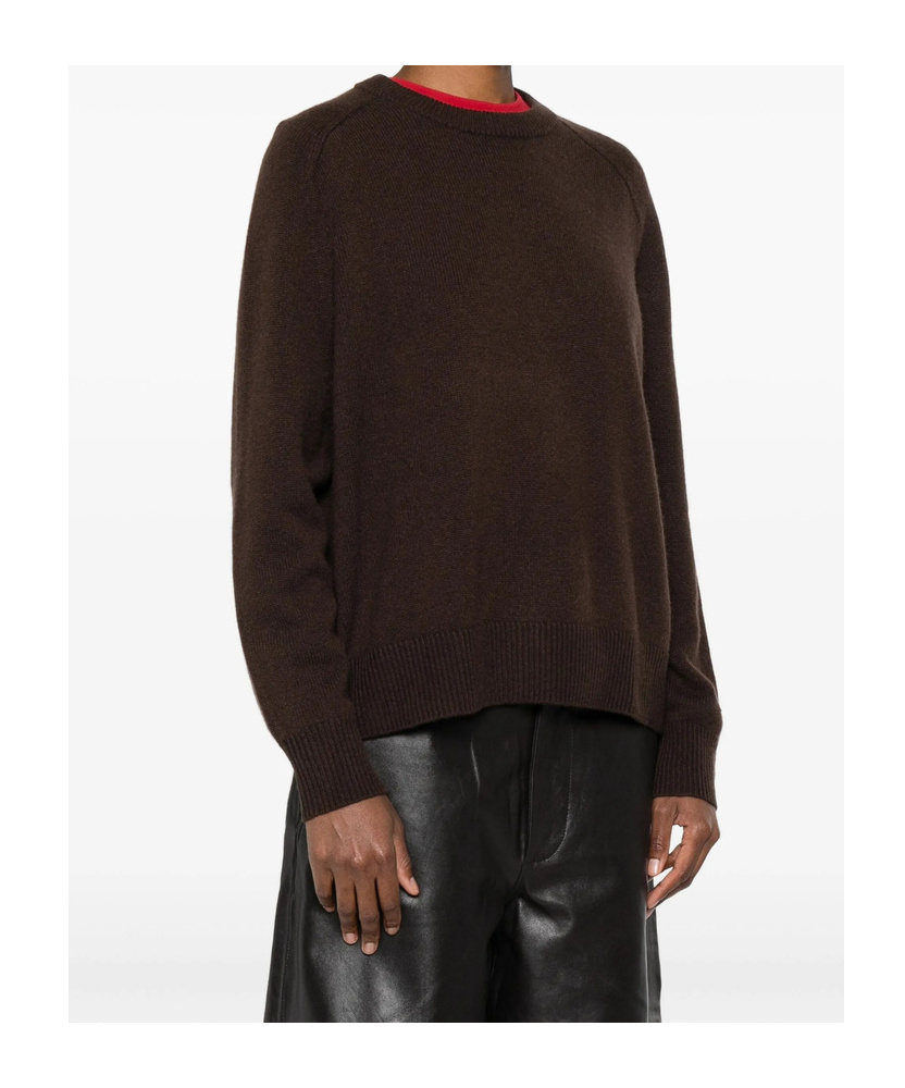 Soft Goat Cashmere Sweater In Brown
