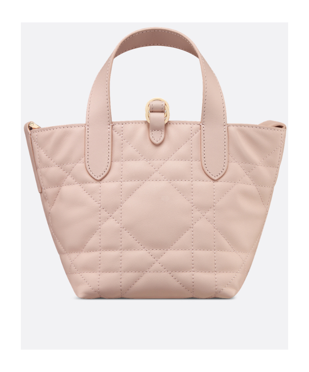 Dior Toujours Vertical Nano Tote Bag In Pink