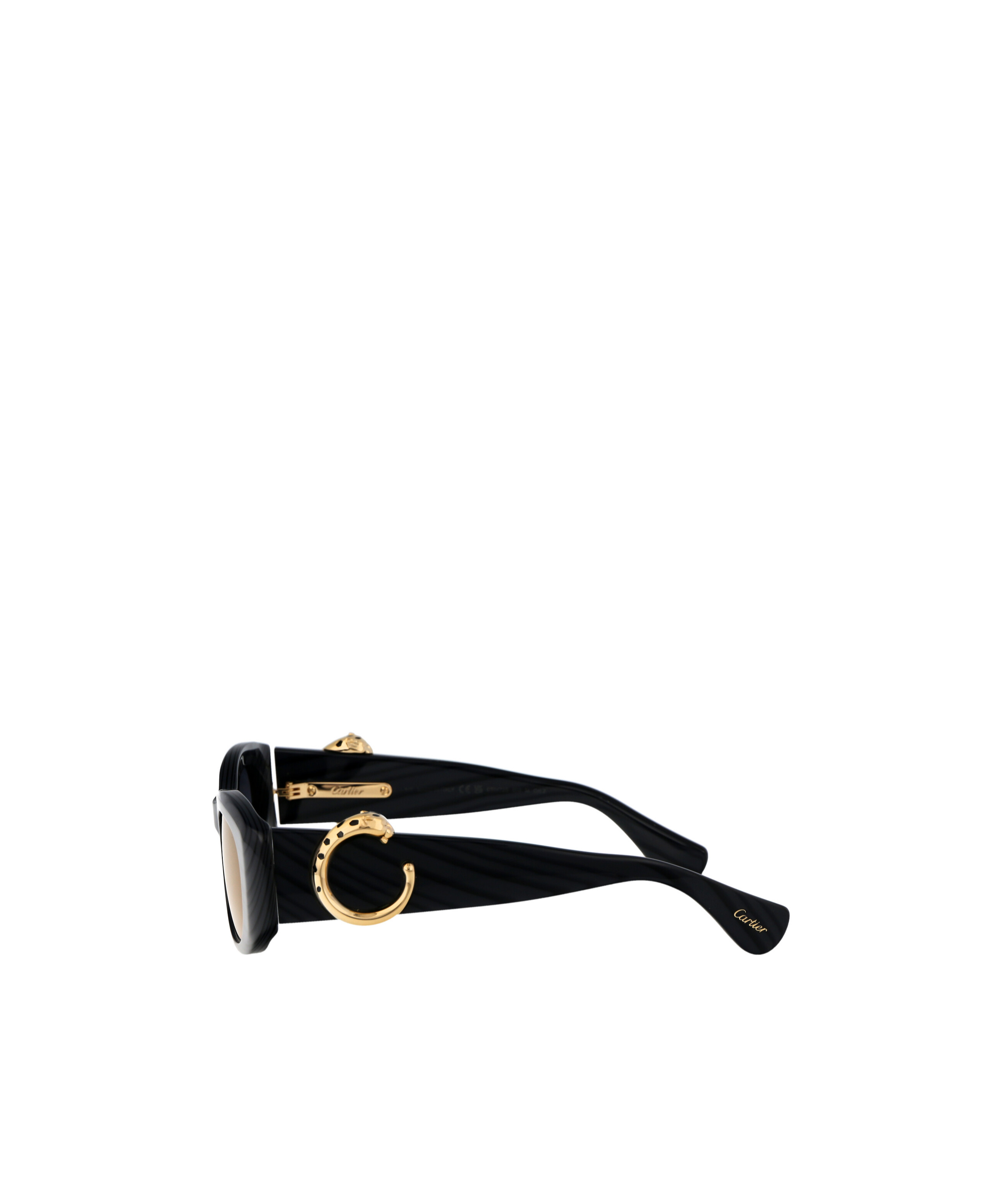 Cartier Women's Grey Acetate Sunglasses In Black