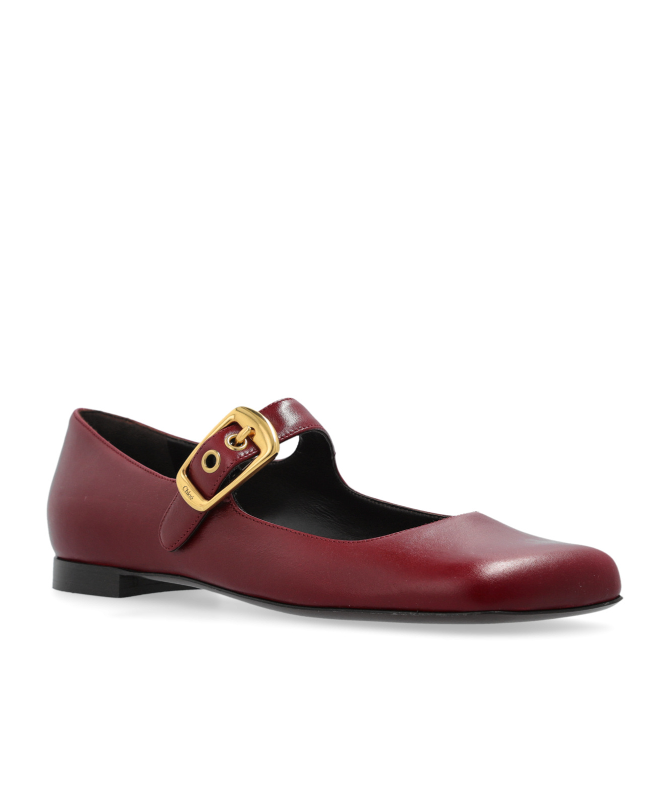 Chloé Polly Mary-jane Ballet Flats In Brown