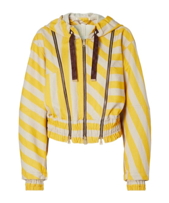 Fendi Striped Cropped Hooded Jacket In Yellow