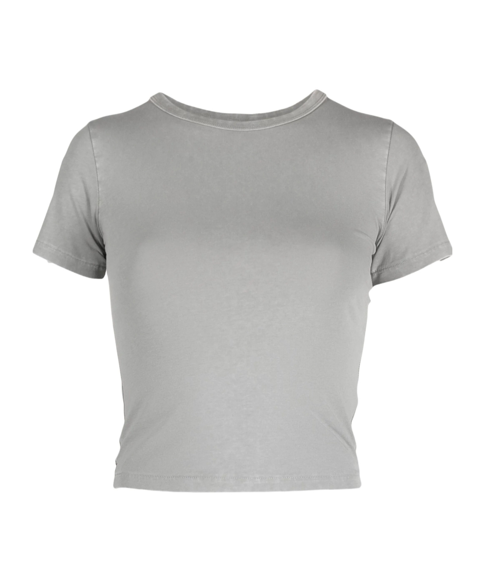 Entire Studios Micro Tee In Gray