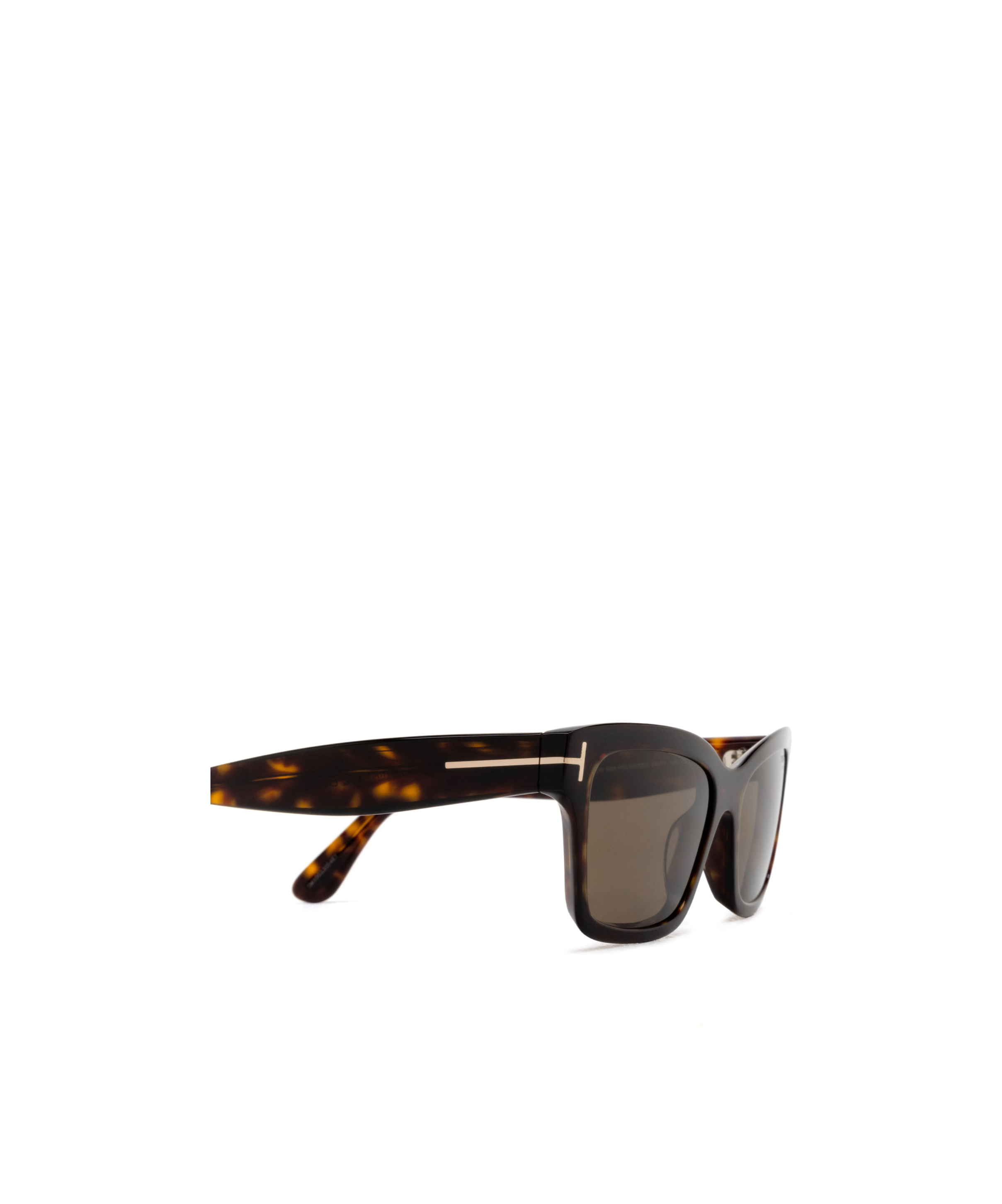 Tom Ford Mikel Havana Square Sunglasses In Brown