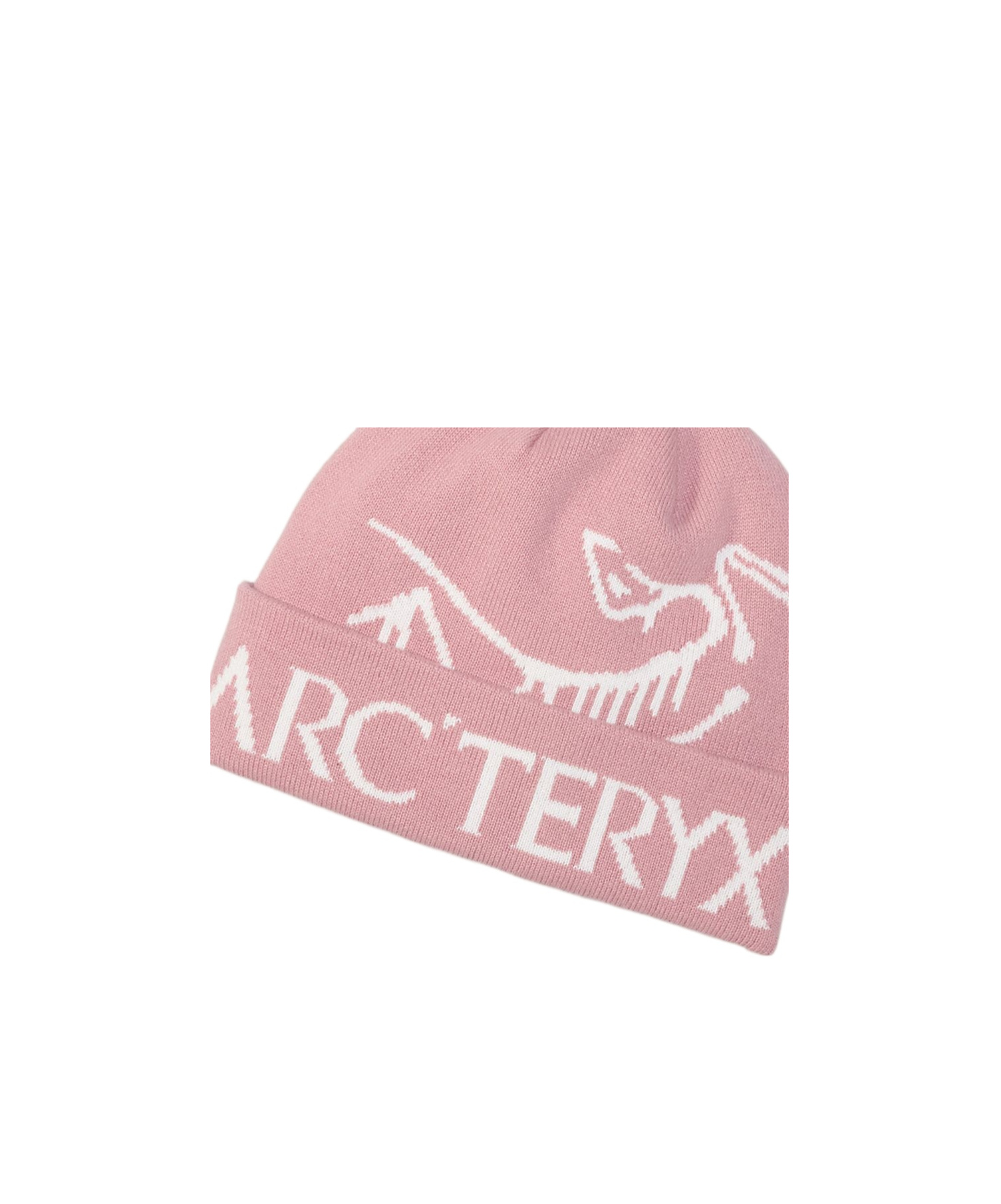 Arc'teryx Bird Word Toque In Pink