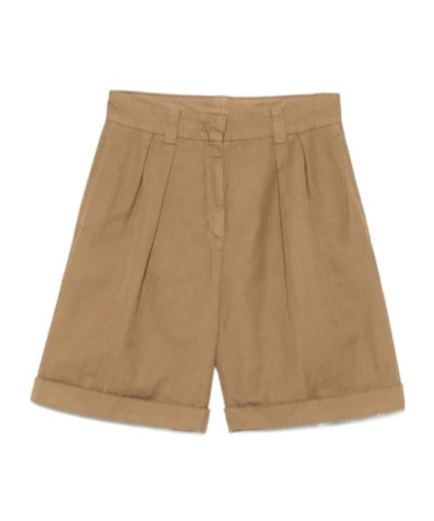 Aspesi Pleat-detailed Shorts In Brown