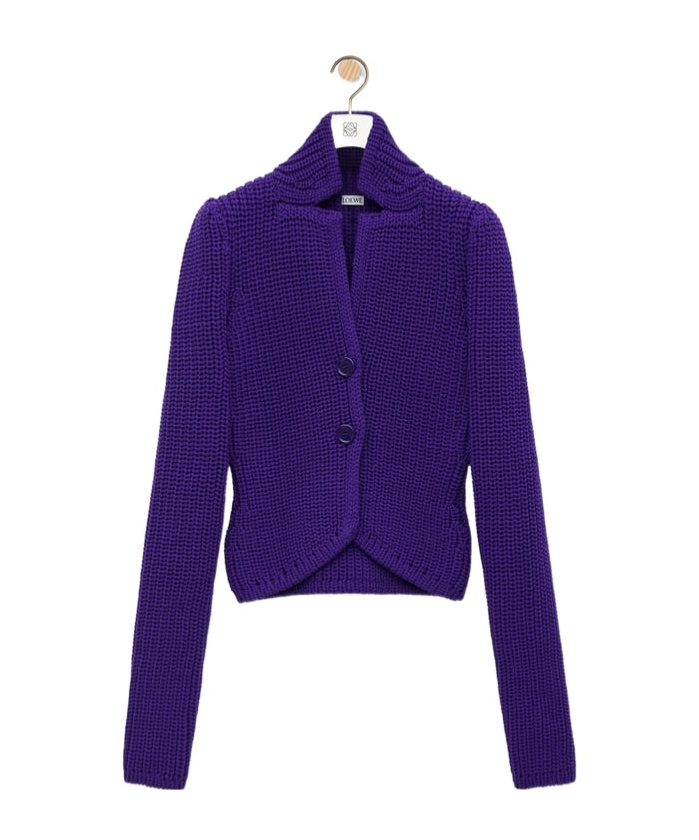 Loewe Jacket In Technical Knit In Purple