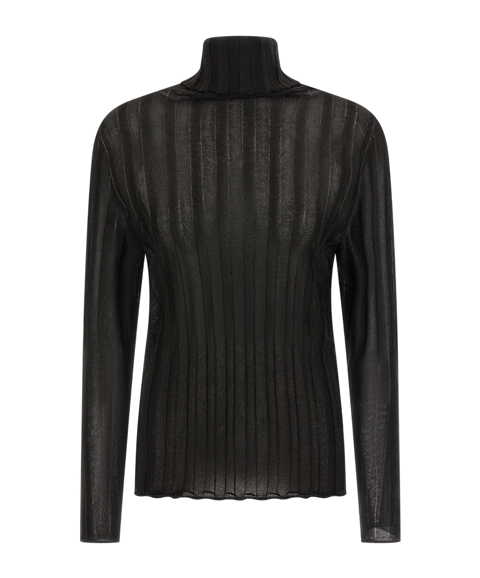 Fabiana Filippi Turtleneck Sweater With Ribbed Sheer Fabric In Black
