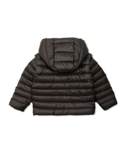 Balmain Logo Printed Padded Jacket In Black