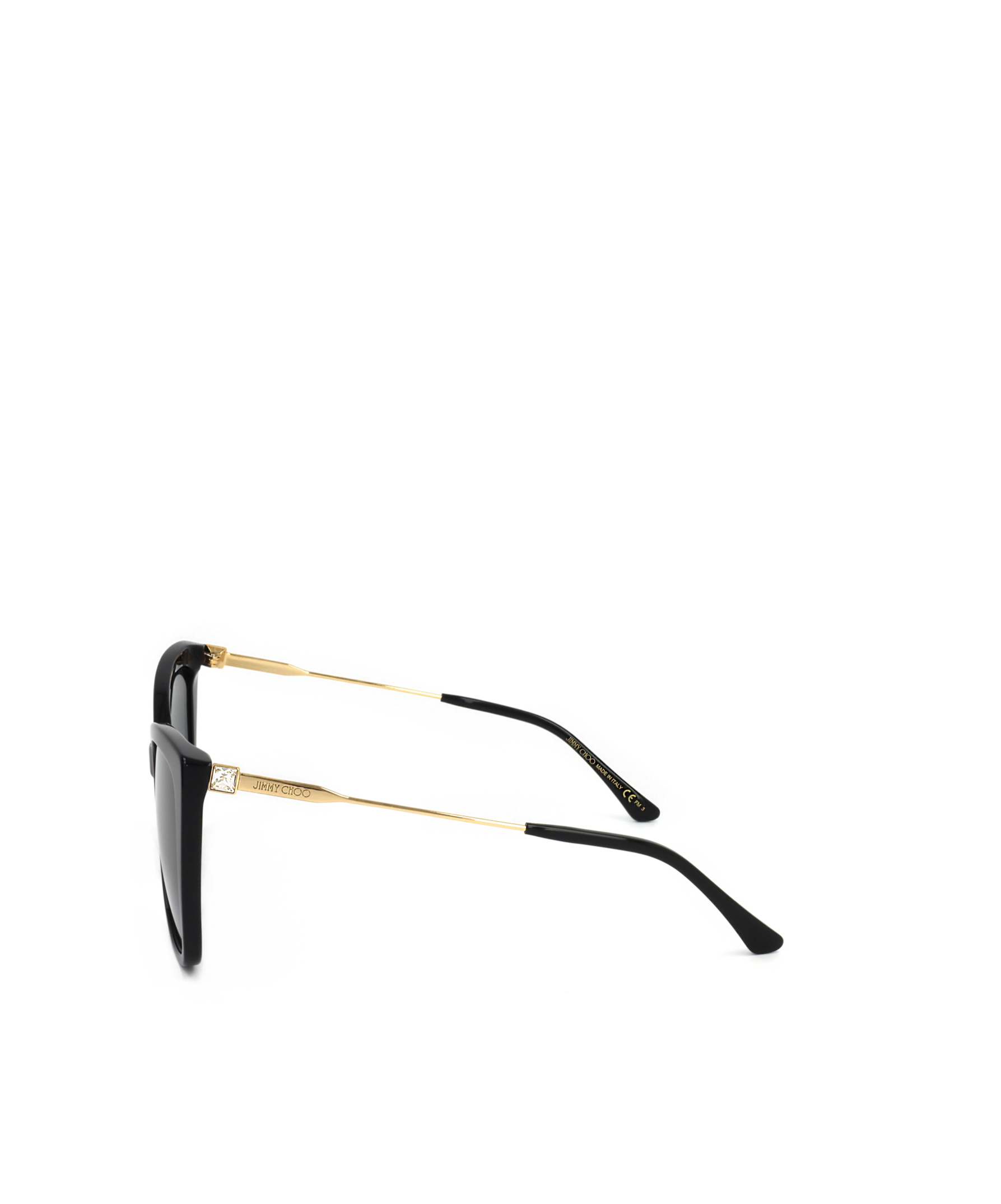 Jimmy Choo Full Frame Sunglasses In Black