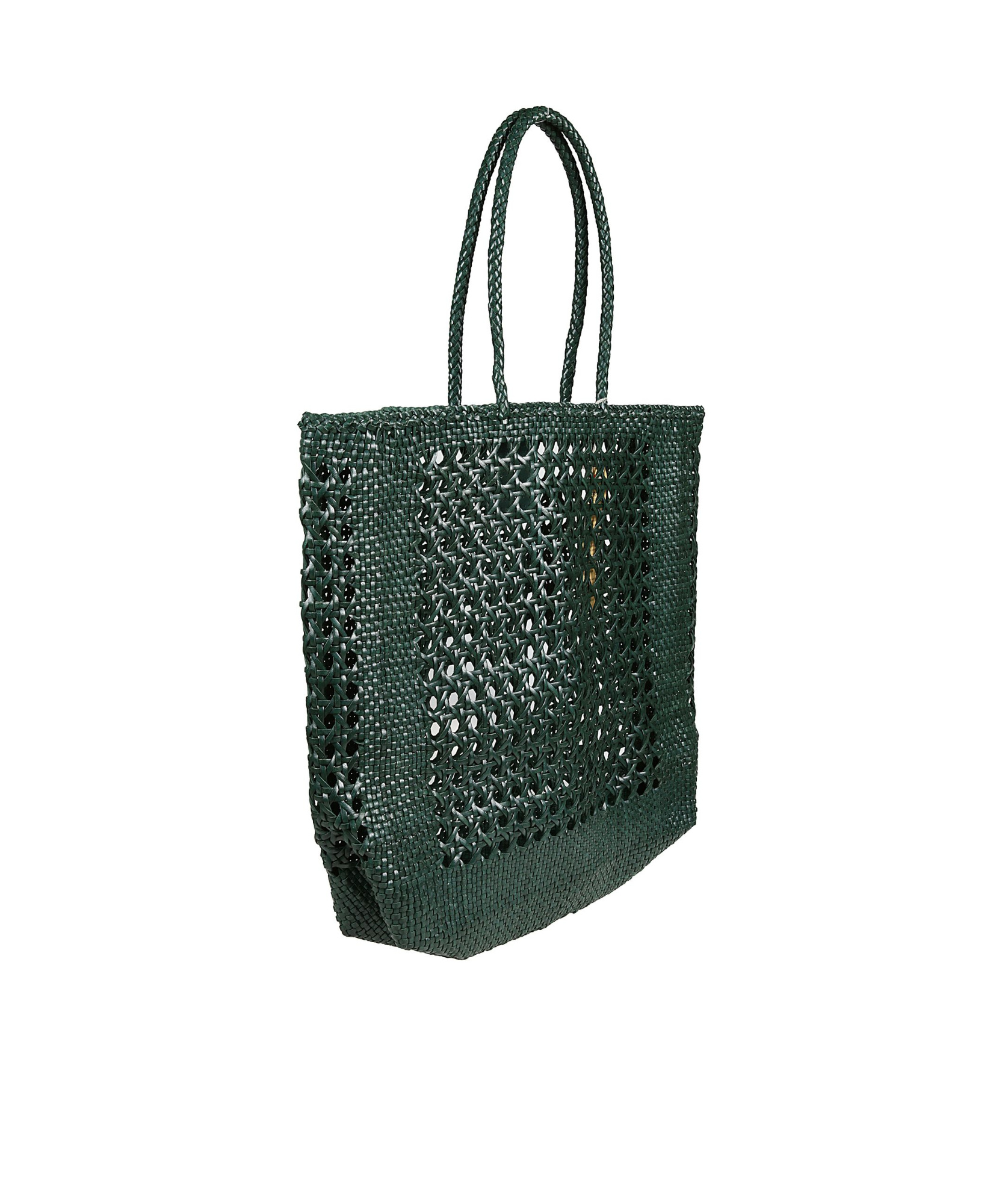 Dragon Diffusion Knitted Handbag In Green
