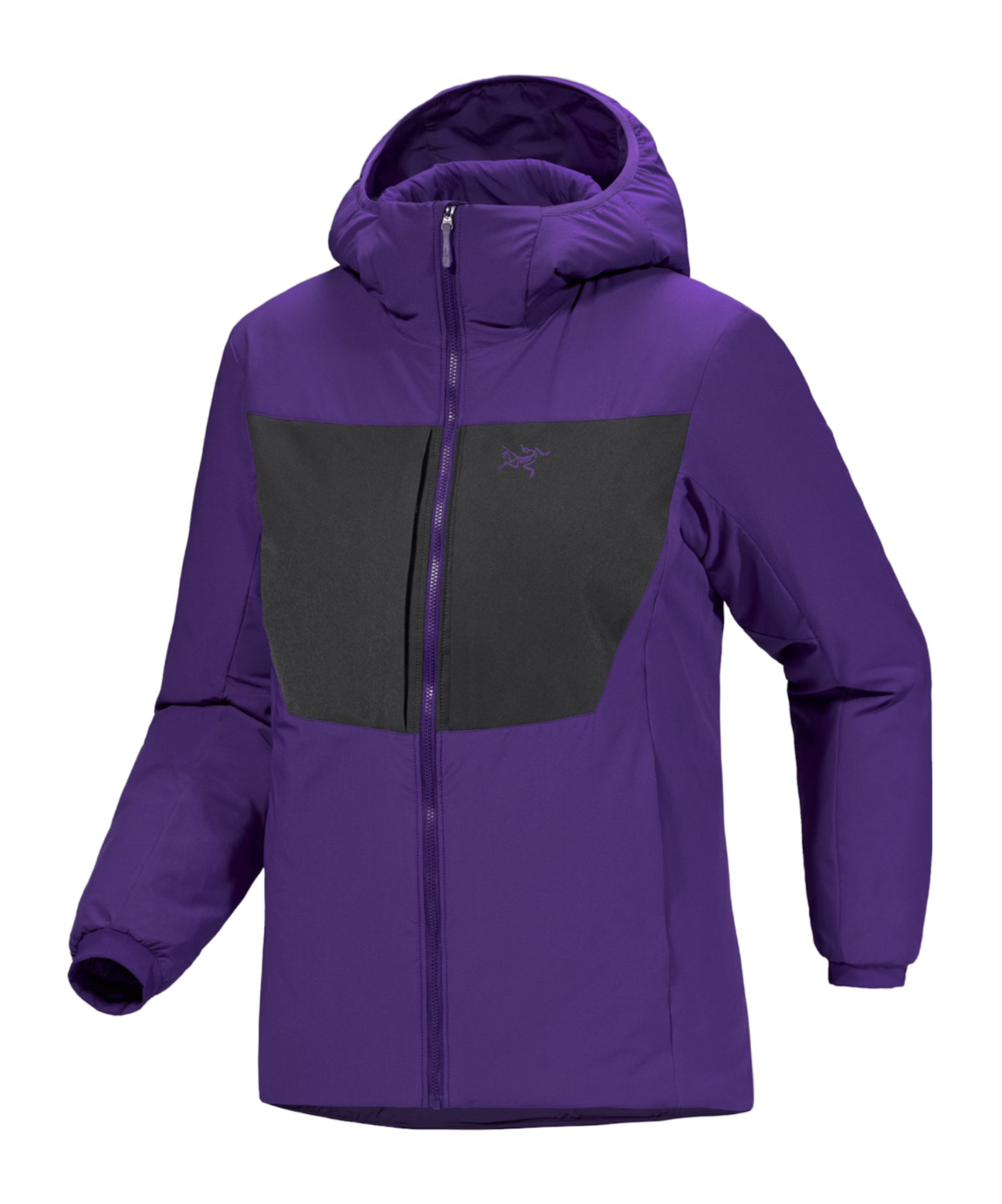 Arc'teryx Proton Heavyweight Hoody Women's In Purple