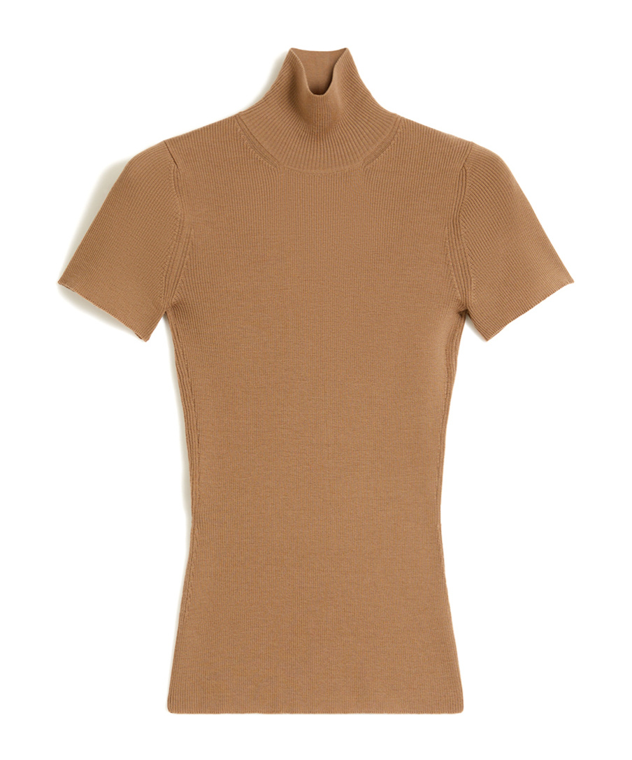 Max Mara Ribbed Turtleneck Top In Brown