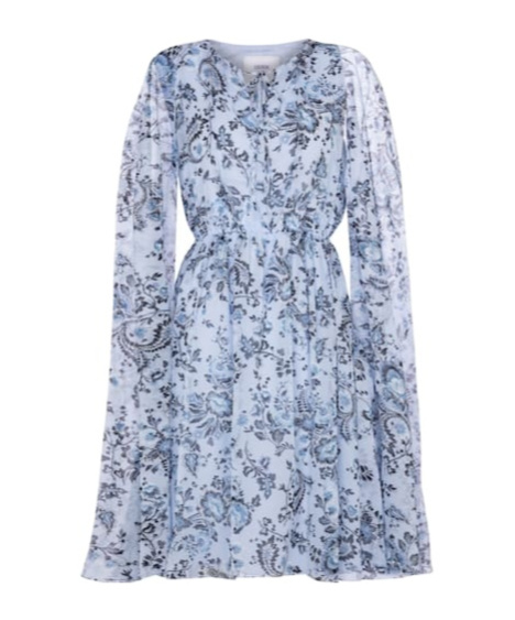 Erdem Austin Printed Silk Voile Minidress In Blue