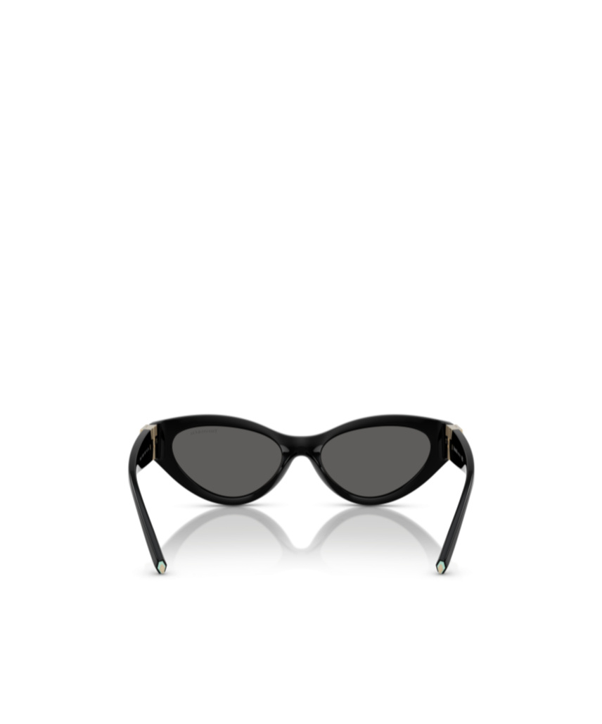 Tiffany & Co Womens Black Tf4225u Oval-frame Acetate Sunglasses In Black