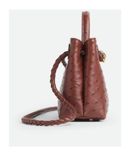 Bottega Veneta Mini Andiamo In Red