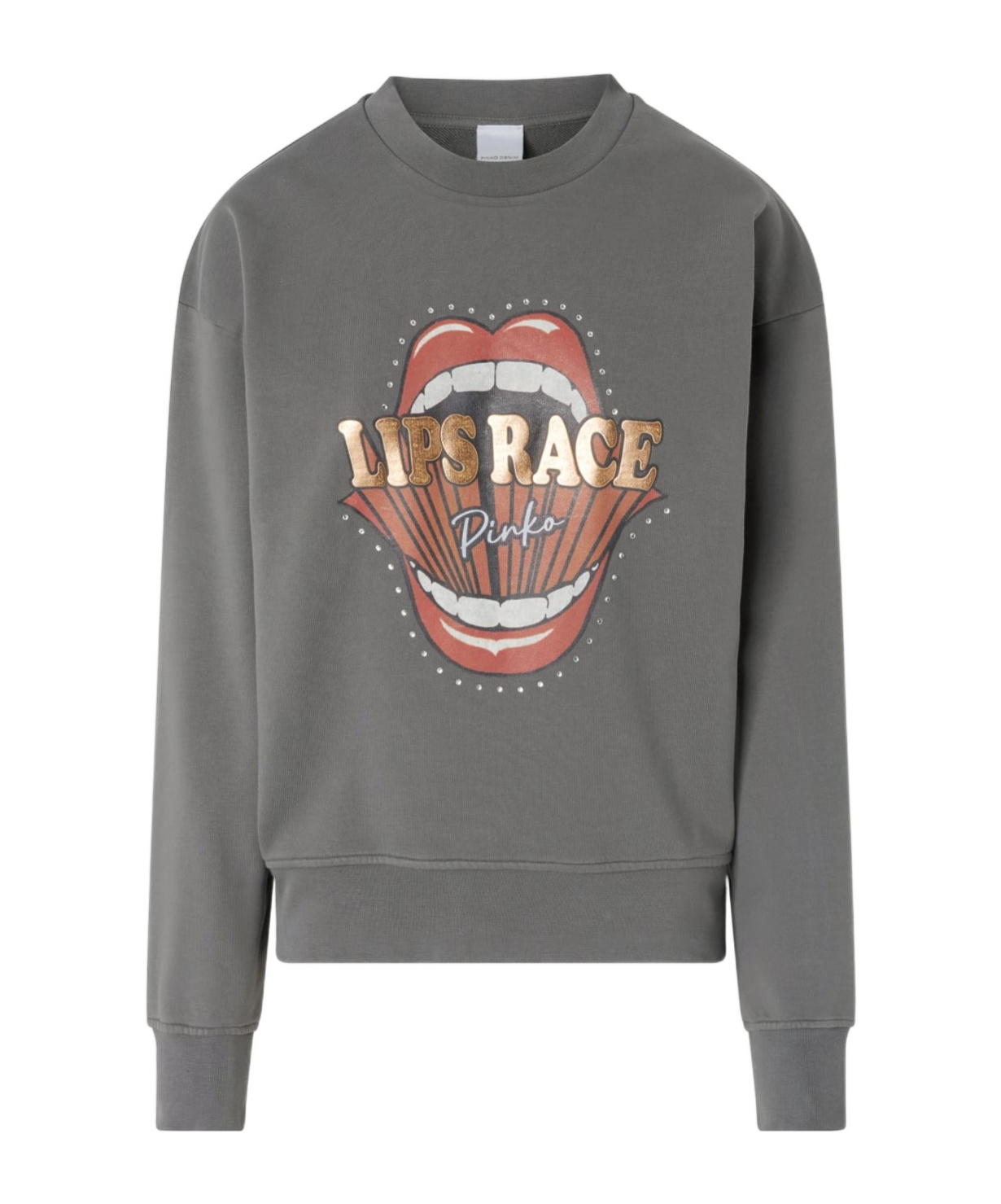 Pinko Graphic-print Sweatshirt In Gray