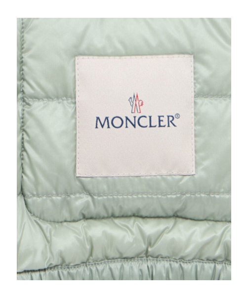 Moncler Down Jacket In Gray