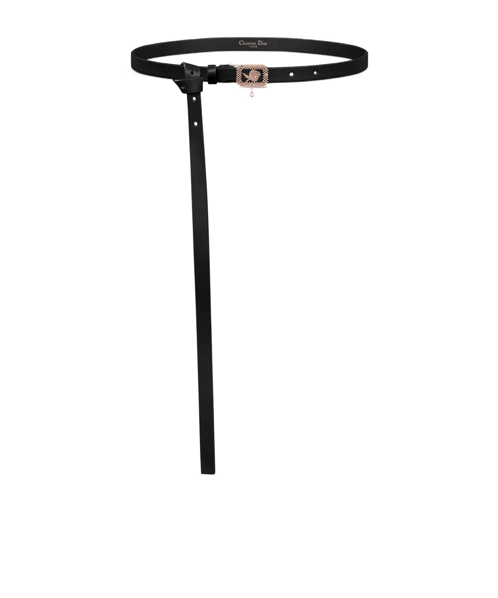 Dior Rose Belt Light In Black