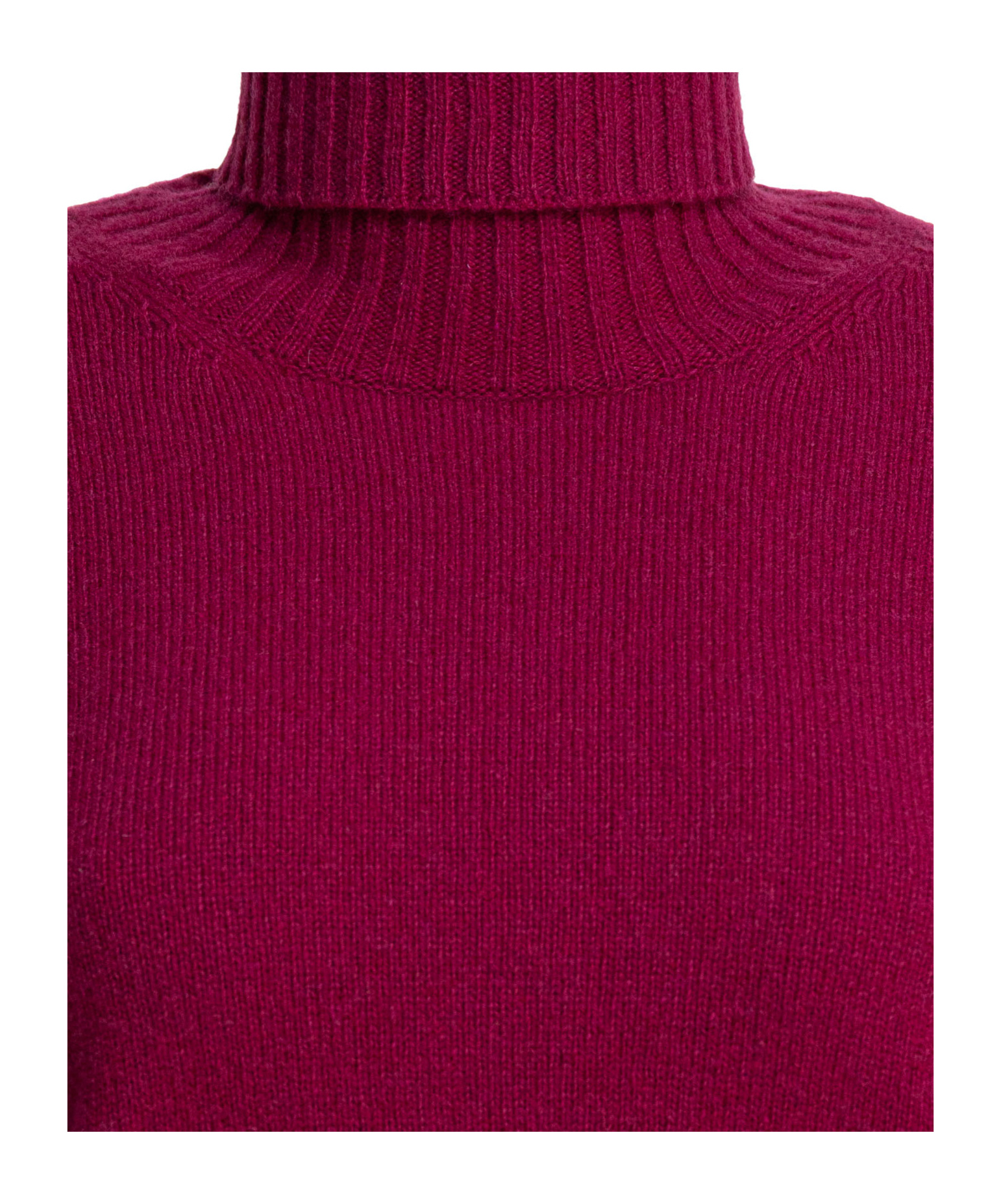 Kangra Cashmere Kangra Ribbed Turtleneck Knitwear In Rich Purple In Burgundy