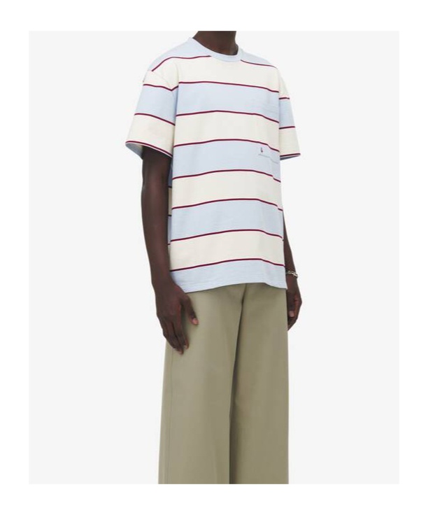 Alexander Mcqueen Inverted Skull Striped T-shirt In Blue