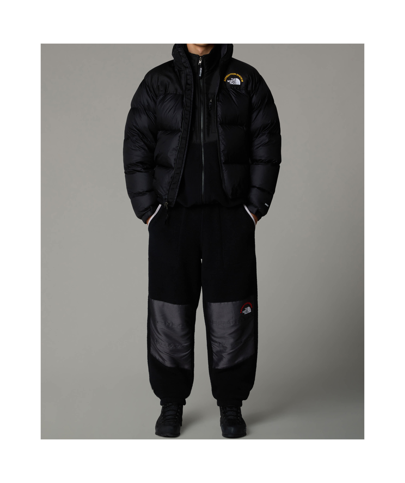 The North Face Logo-print Padded Jacket In Black