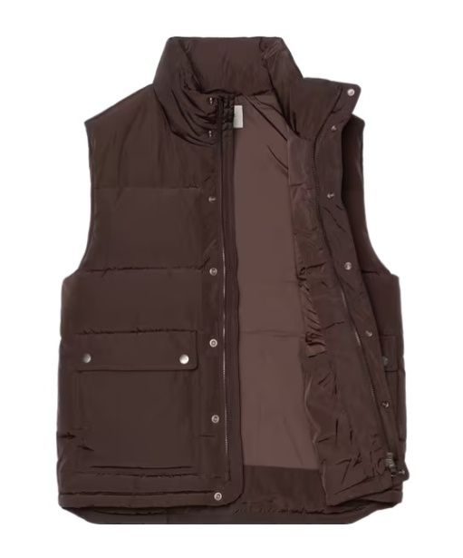 Carhartt Brent Vest In Brown
