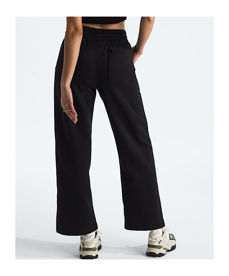 The North Face Womens Evolution Pants In Black