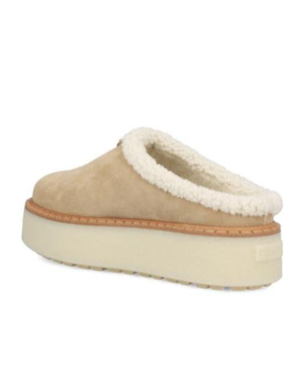 Shop Prada Suede Muller Shoes In Brown