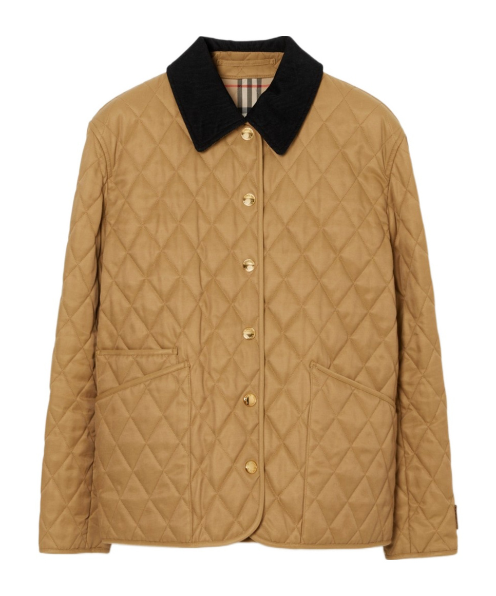 Burberry Giacca Trapuntata Con Colletto In Velluto In Brown