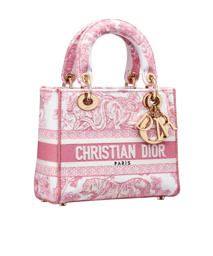 Dior Iviera Small Lady D-lite Bag