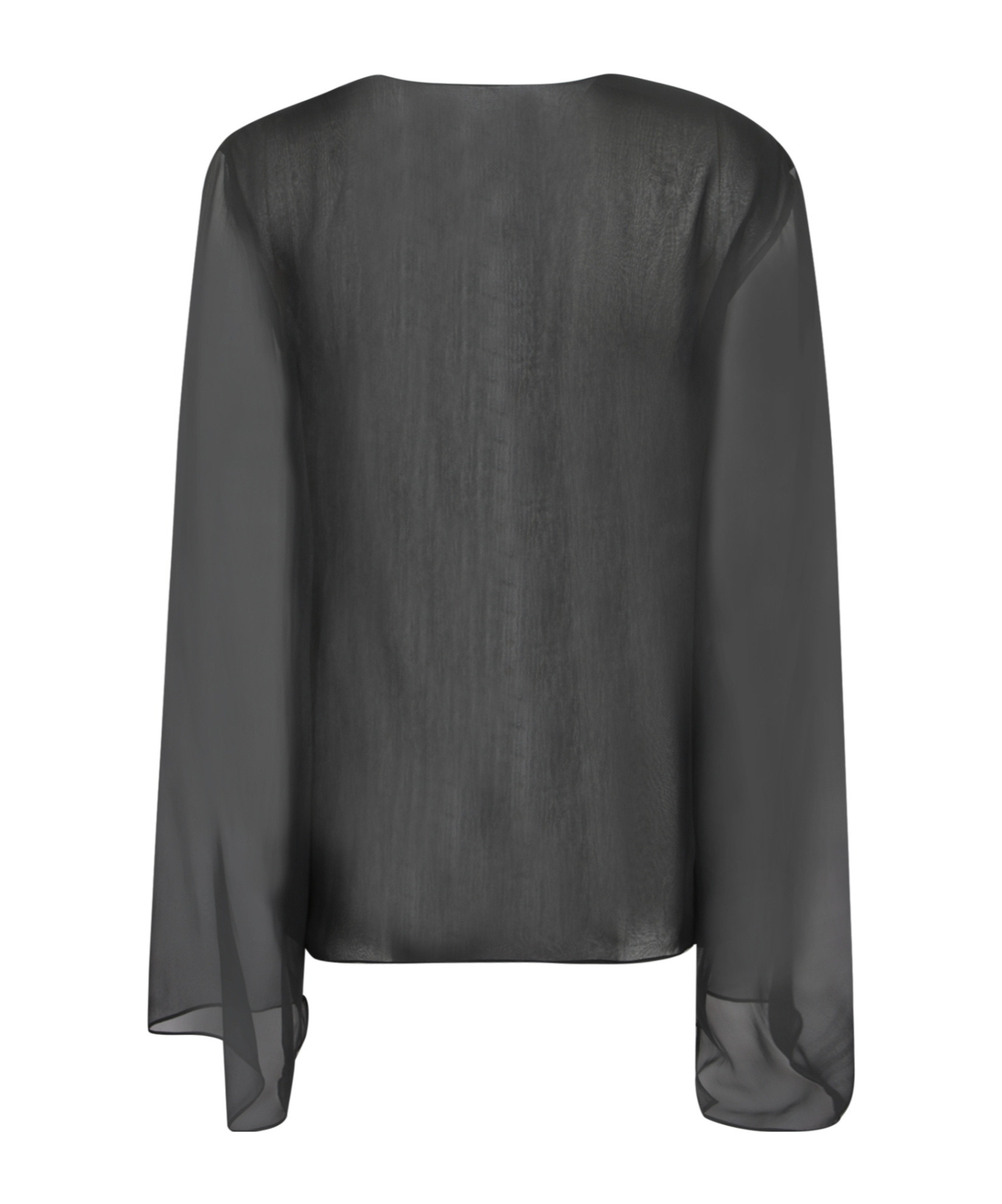 Alberta Ferretti V-neck Sheer Blouse In Black