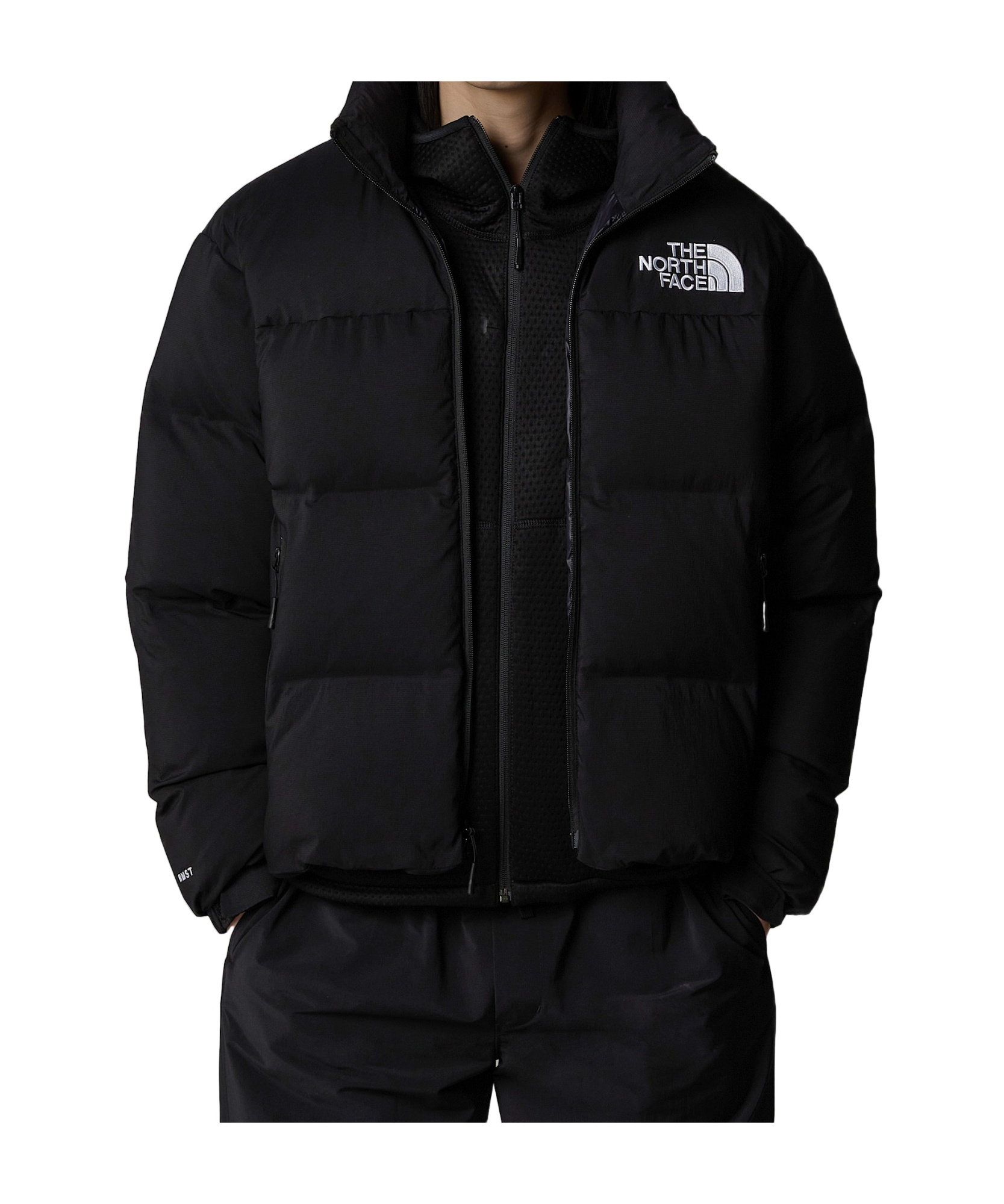 The North Face 1996 Retro Nuptse 700 Fill Power Down Packable Jacket In Black