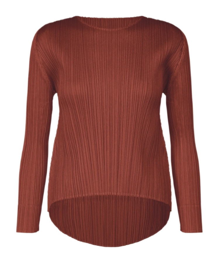 Issey Miyake Long-sleeved Blouse In Brown