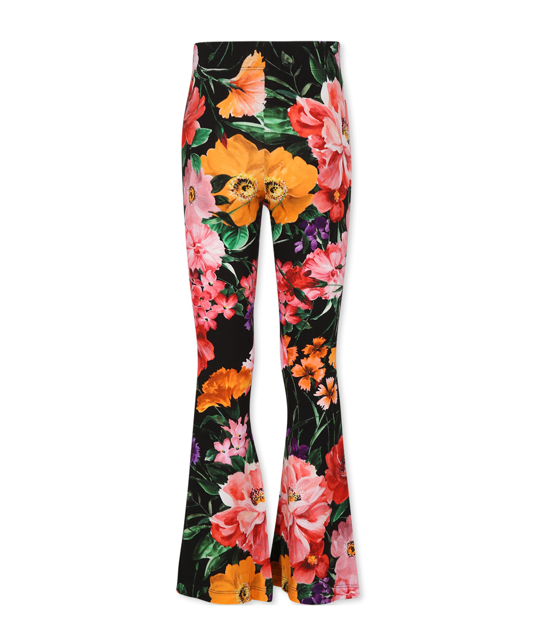 Dolce & Gabbana Floral Printed Casual Pants In Multicolor